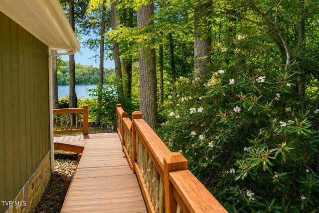 282 Ripshin Lake Road, Roan Mountain, TN 37687