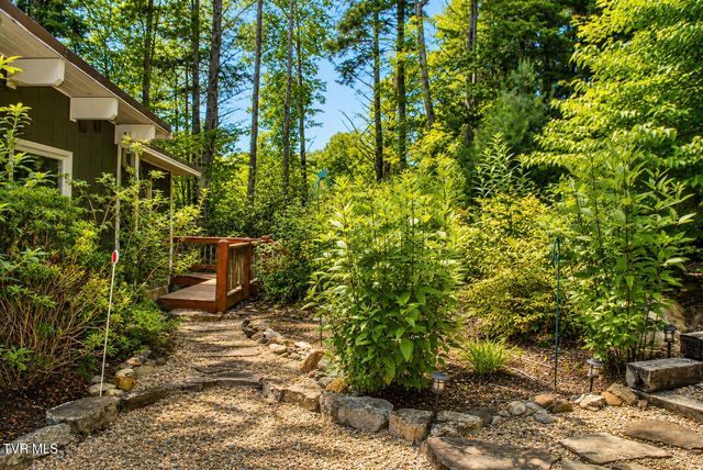 282 Ripshin Lake Road, Roan Mountain, TN 37687