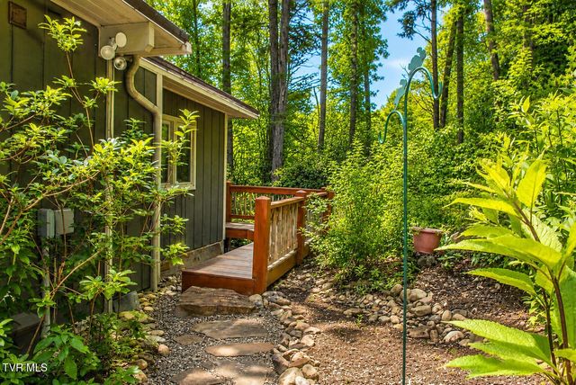 282 Ripshin Lake Road, Roan Mountain, TN 37687