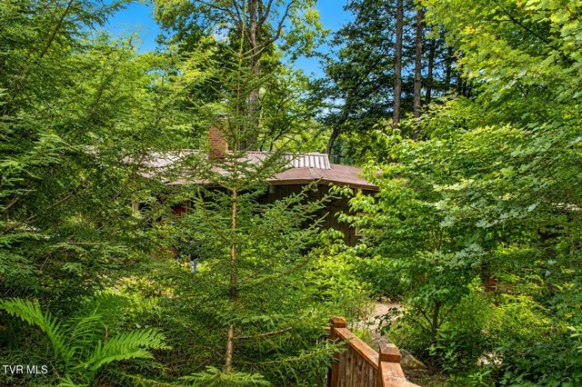 282 Ripshin Lake Road, Roan Mountain, TN 37687