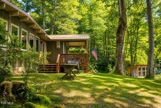 282 Ripshin Lake Road, Roan Mountain, TN 37687