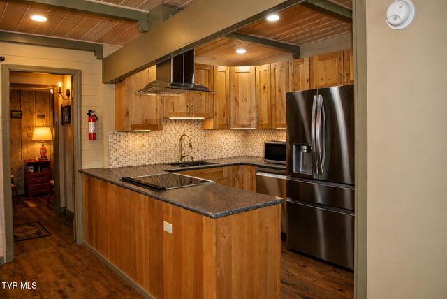 282 Ripshin Lake Road, Roan Mountain, TN 37687