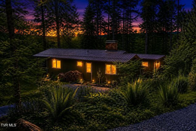 282 Ripshin Lake Road, Roan Mountain, TN 37687