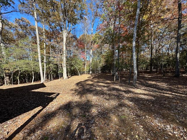 272 Talon Trace, Blairsville, GA 30512