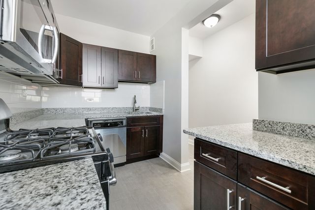 1110 W Glenlake Avenue 1, Chicago, IL 60660