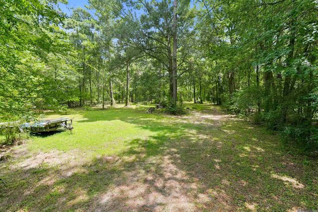 31276 Old River Rd, Denham Springs, LA 70726