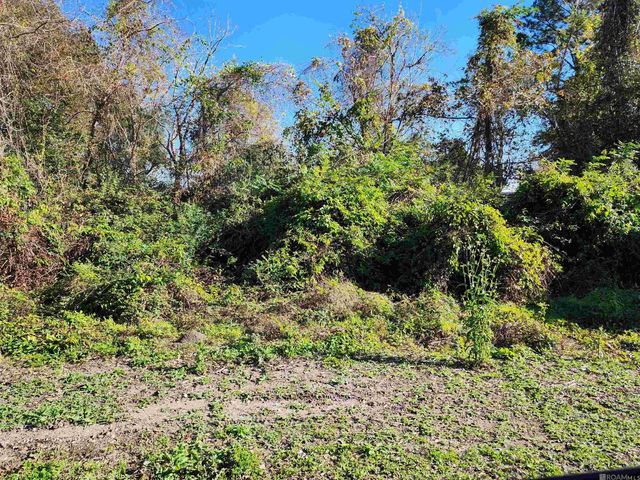 106 Rondinaud Rd, Donaldsonville, LA 70346