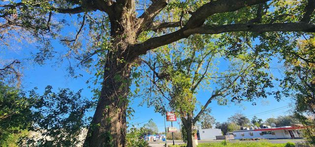 106 Rondinaud Rd, Donaldsonville, LA 70346