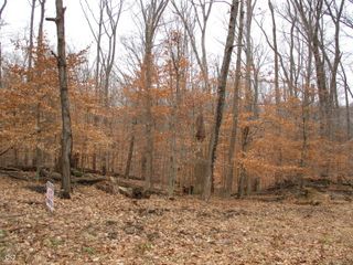 0 Glenwood East Drive, Martinsville, IN 46151