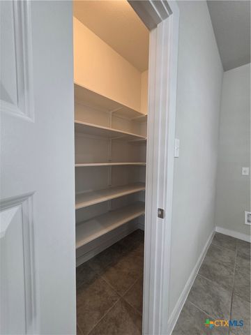 412 Hortus Drive, Kyle, TX 78640