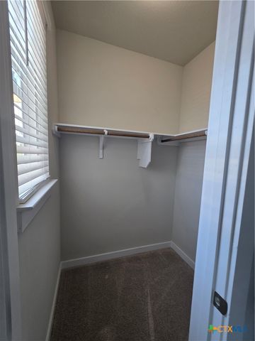 412 Hortus Drive, Kyle, TX 78640