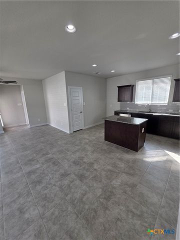 412 Hortus Drive, Kyle, TX 78640
