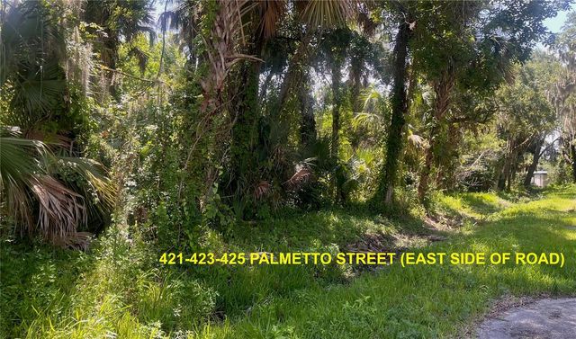 420-428 PALMETTO STREET, Edgewater, FL 32132