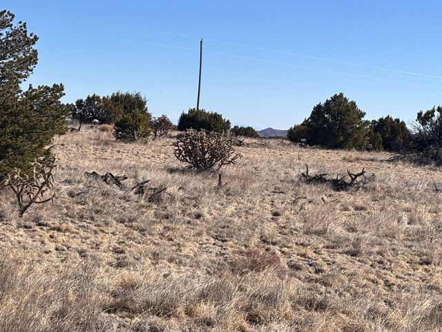 Lot 168 Pinon Springs, Magdalena, NM 87825