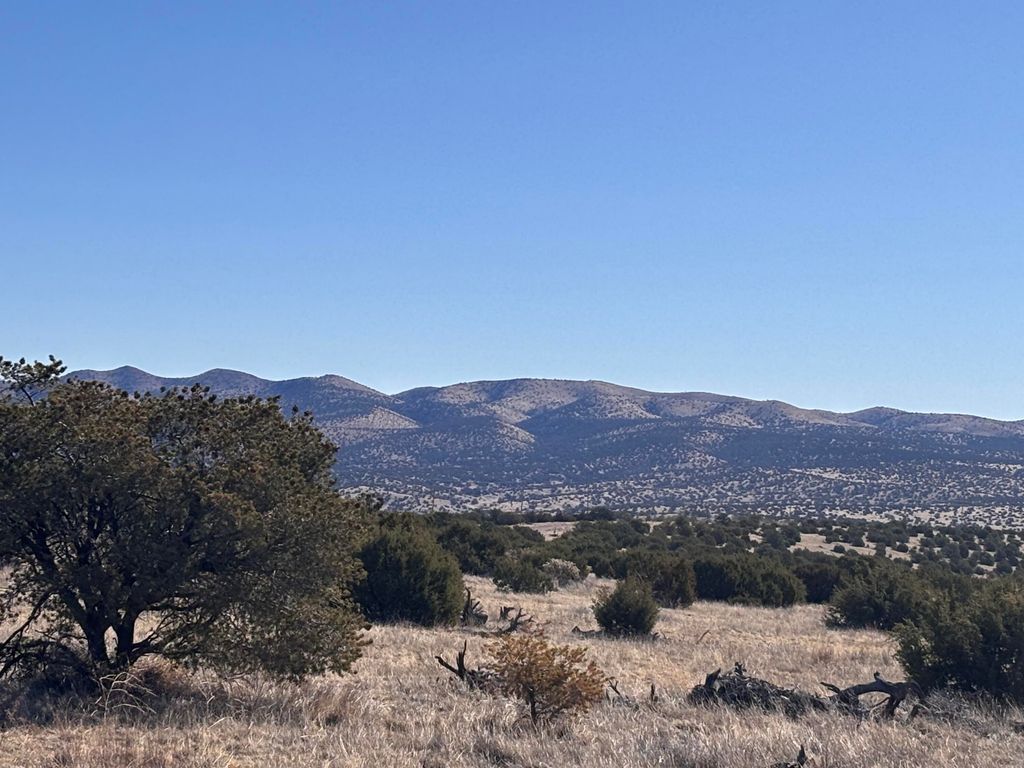 Lot 168 Pinon Springs, Magdalena, NM 87825