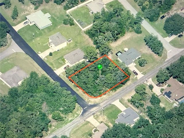 3115 W Babcock Place, Citrus Springs, FL 34433