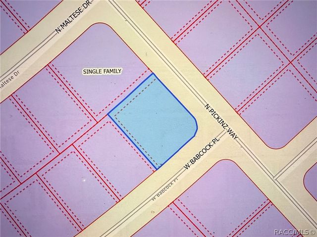 3115 W Babcock Place, Citrus Springs, FL 34433