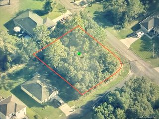 3115 W Babcock Place, Citrus Springs, FL 34433