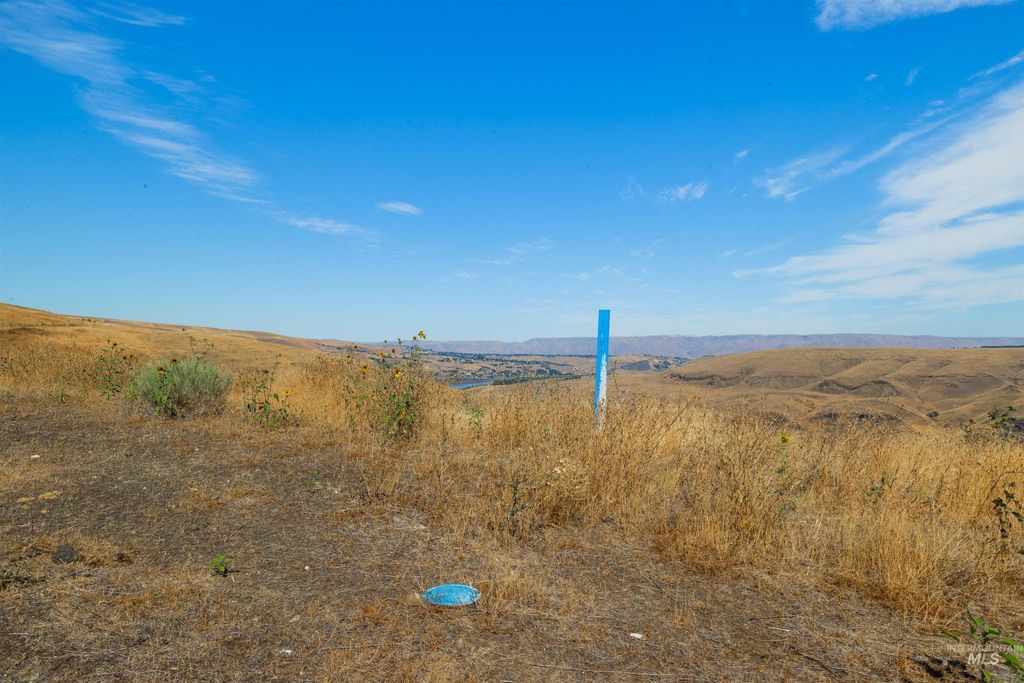 793 Swantz Dr, Asotin, WA 99402 photo 3