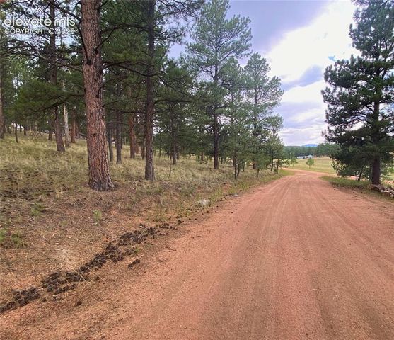 60 Pickens Road, Florissant, CO 80816