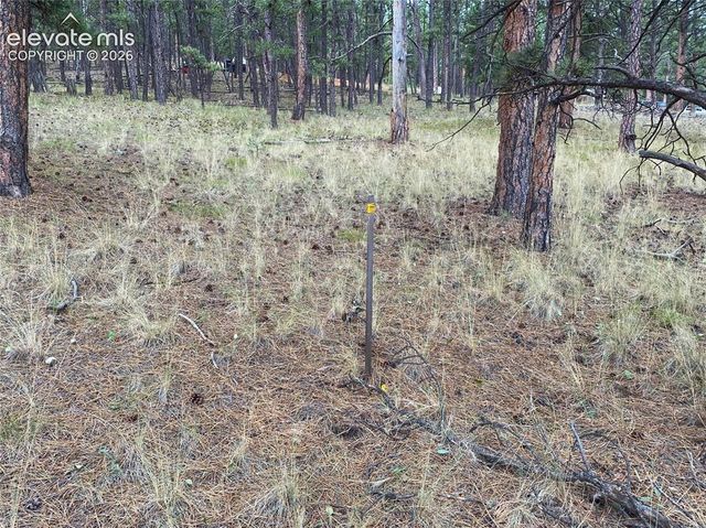 60 Pickens Road, Florissant, CO 80816