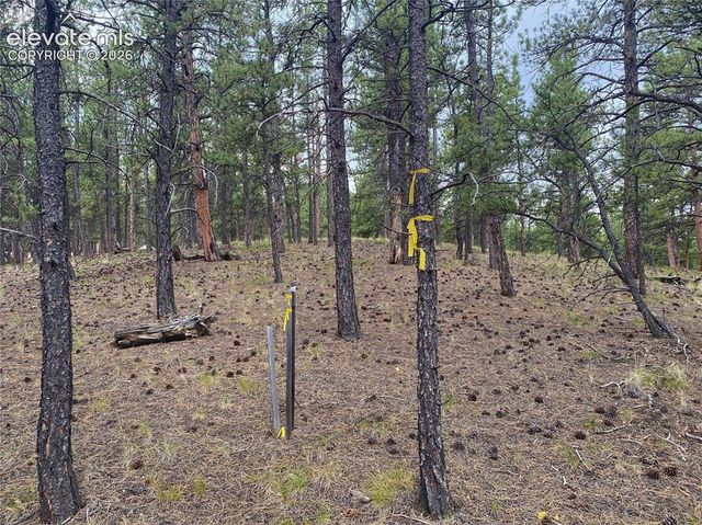 60 Pickens Road, Florissant, CO 80816