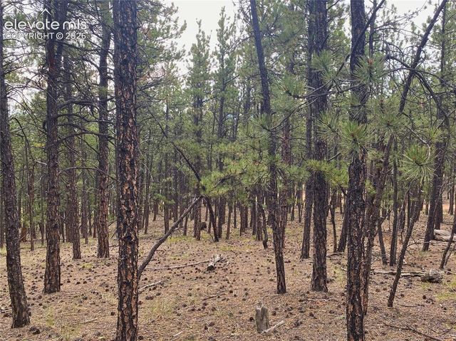 60 Pickens Road, Florissant, CO 80816