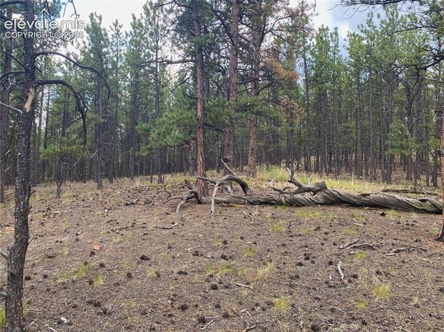 60 Pickens Road, Florissant, CO 80816