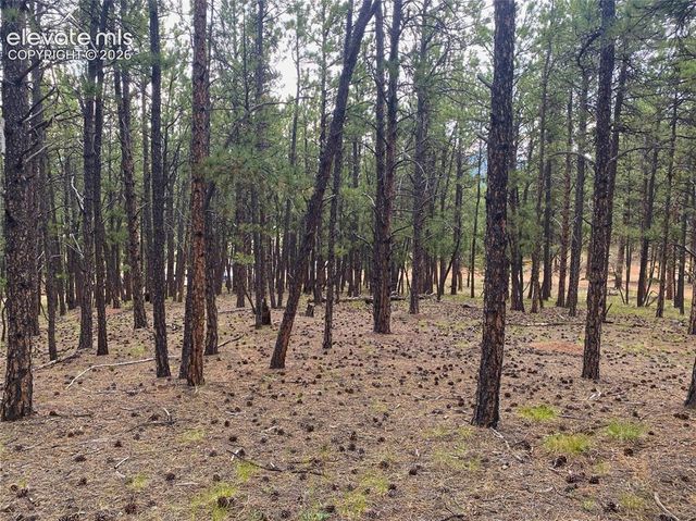 60 Pickens Road, Florissant, CO 80816