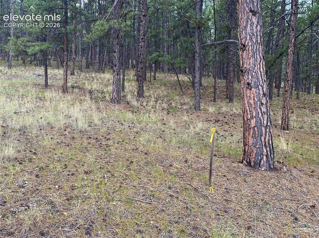 60 Pickens Road, Florissant, CO 80816