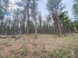 60 Pickens Road, Florissant, CO 80816