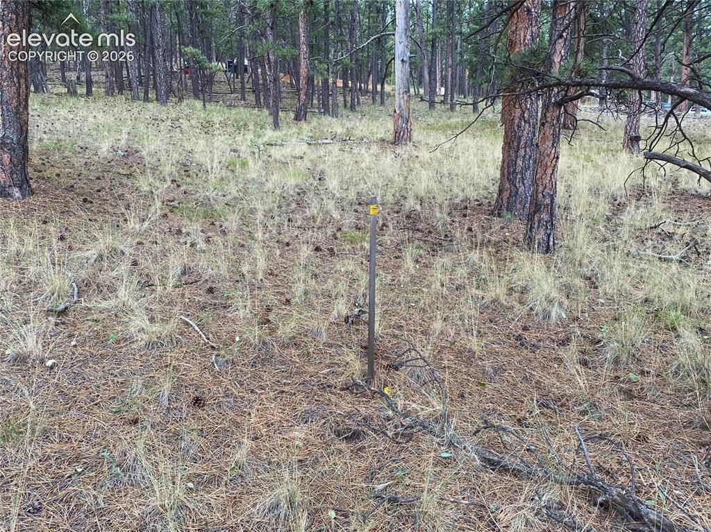 60 Pickens Road, Florissant, CO 80816 — photo 2