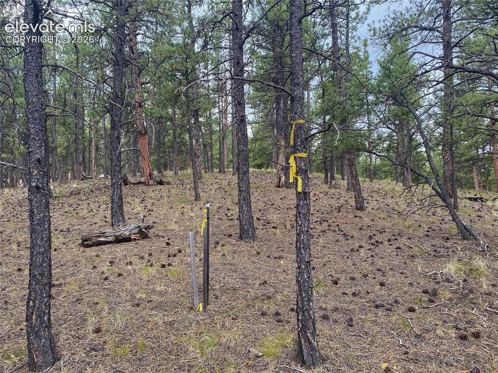 60 Pickens Road, Florissant, CO 80816 — photo 3