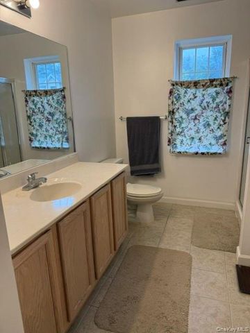 212 Hillside Lane, Ellenville, NY 12428
