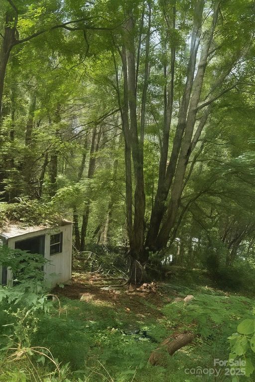 32 Windy Hill Lane, Canton, NC 28716