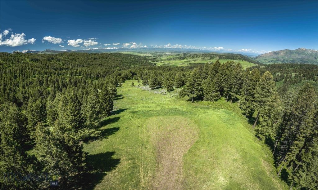 Ranch 5 North Pass Ranches, Bozeman, MT 5971 photo 3