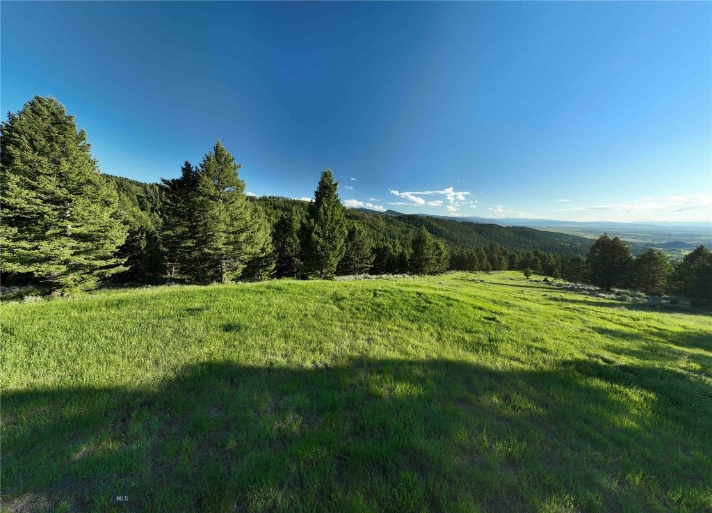 Ranch 5 North Pass Ranches, Bozeman, MT 5971 photo 6