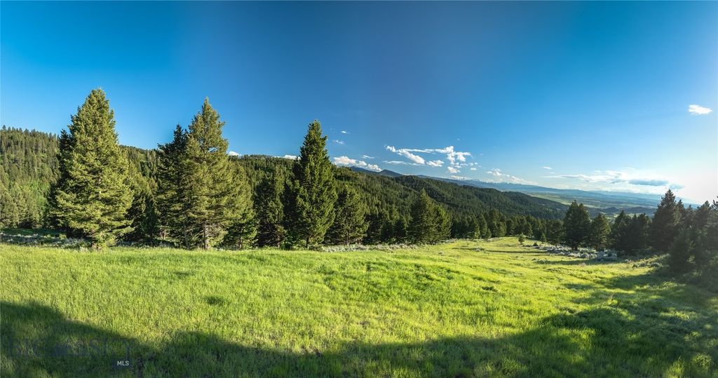 Ranch 5 North Pass Ranches, Bozeman, MT 5971 photo 8