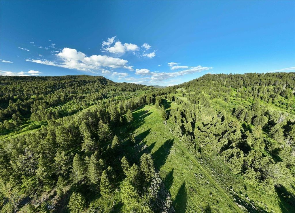 Ranch 5 North Pass Ranches, Bozeman, MT 5971 photo 9