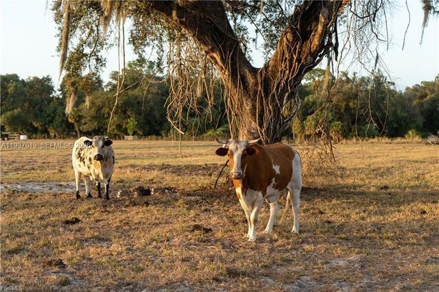 894 Cemetery Rd, La Belle, FL 33935