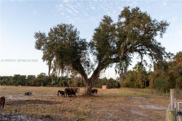 894 Cemetery Rd, La Belle, FL 33935