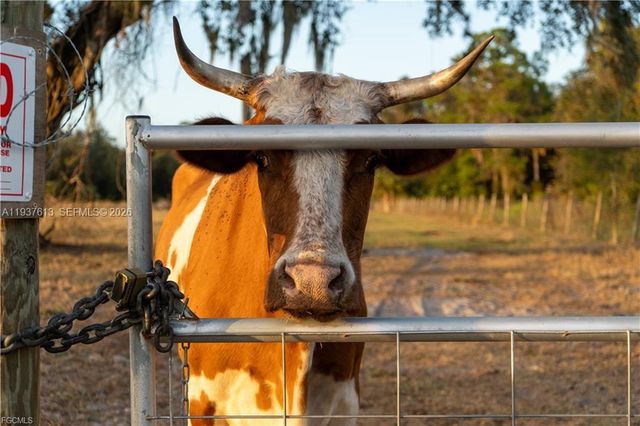 894 Cemetery Rd, La Belle, FL 33935