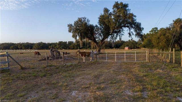 894 Cemetery Rd, La Belle, FL 33935