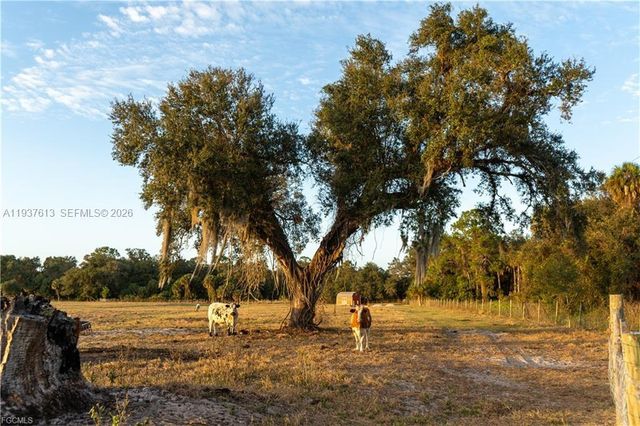 894 Cemetery Rd, La Belle, FL 33935