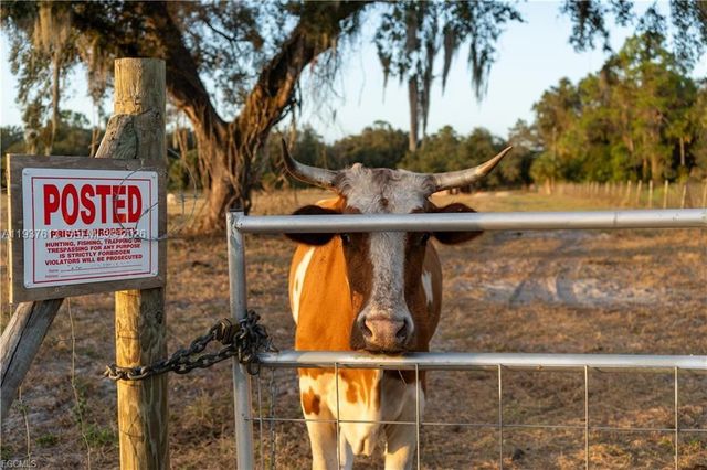 894 Cemetery Rd, La Belle, FL 33935