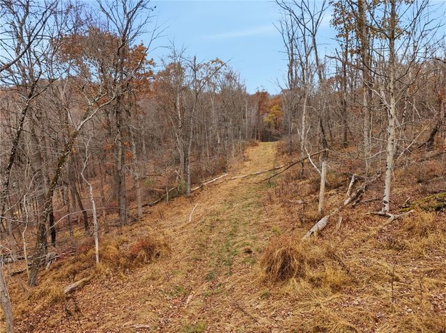 1076 Saxonburg Blvd, O'hara, PA 15116