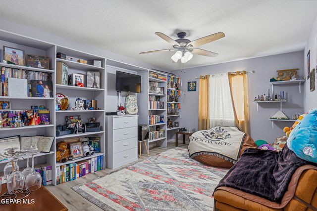 3704 ALDERWOOD MANOR Drive, Horizon City, TX 79928