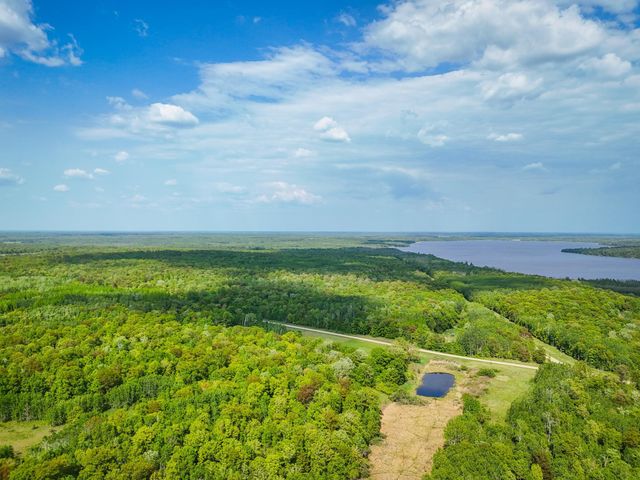 TBD 315th ave, Hart Lake Twp, MN 56461