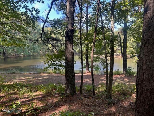 2510 Tody Goodwin Road, Apex, NC 27502