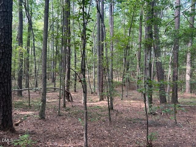 2510 Tody Goodwin Road, Apex, NC 27502